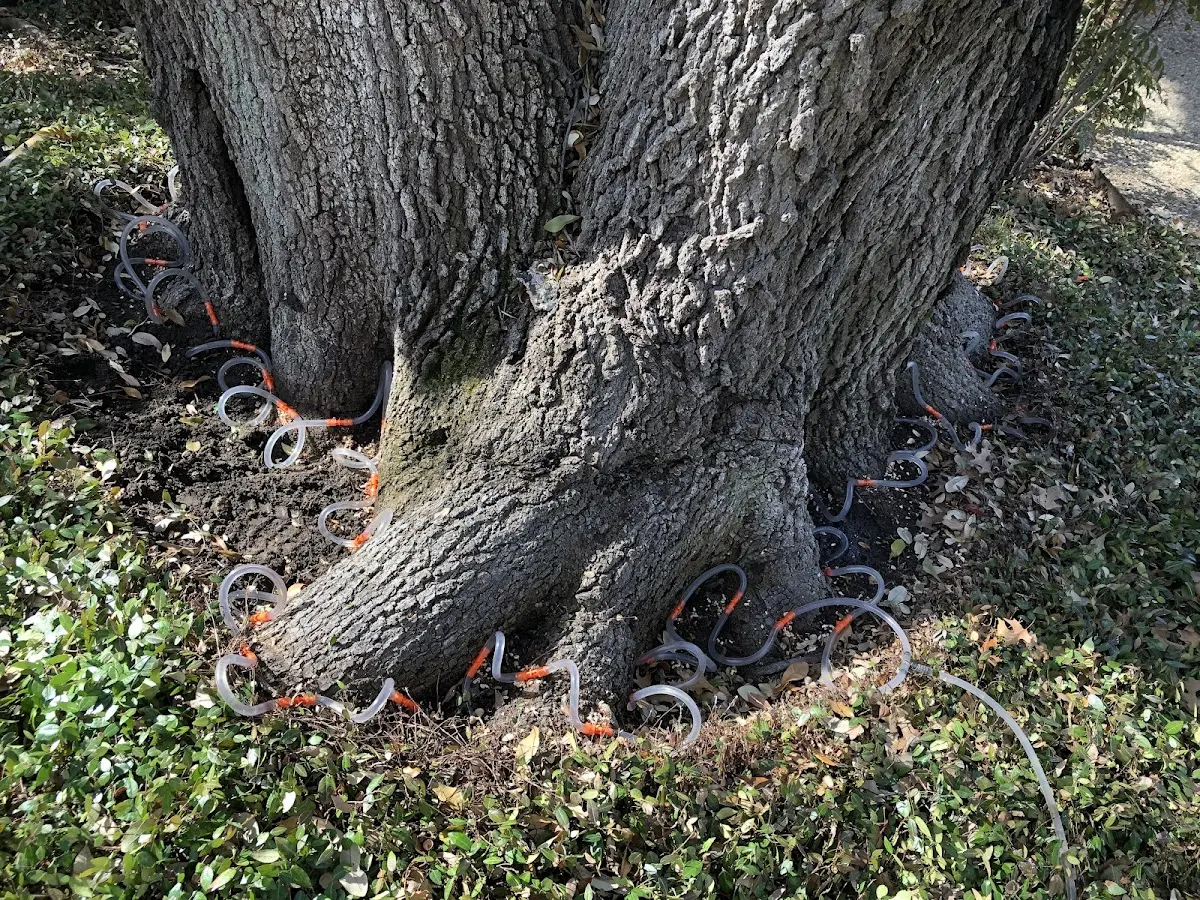 Detailed Shrub and Hedge Trimming job site in Slatedale