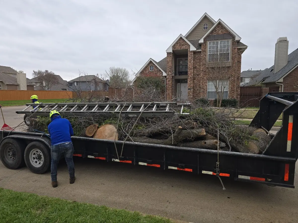 Expert Tree Fertilization with proper safety equipment in Slatedale